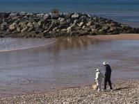 Atlantic apartment - Ferienwohnung Sidmouth