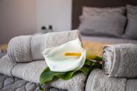 Carvão PDL Inn - Bed and Breakfast Ponta Delgada