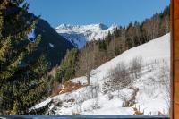 Appartementhaus Tannenberg - Ferienwohnung Saalbach-Hinterglemm