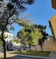 Valinor Apartments Boliches - Ferienwohnung