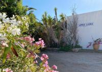 Apartamentos Laura Playa de Migjorn - B&B Playa Migjorn
