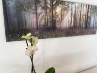 Camera Matrimoniale con Bagno Privato