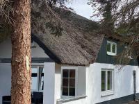 Naturidyll Mariendorf - Reethus Rotbuche - B&B