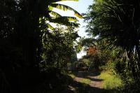 Batumi Green Cape Guest House - Ferienwohnung Makhinjauri