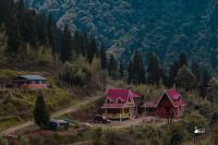 Spring Brooks Homestay - B&B