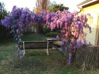 Rheola's Guest Cottage - Bed and Breakfast Harrismith