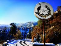 B&B Mussoorie - Hotel On The Edge - Bed and Breakfast Mussoorie