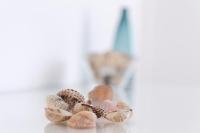 Sale e Sabbia - B&B Trapani