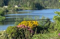 Three Bedroom holiday home