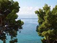 Estudio con vistas al mar