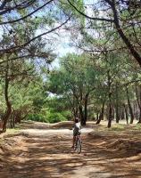 Monoambiente Manquel - B&B Necochea