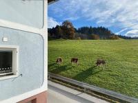 Apartment mit 2 Schlafzimmern und Dusche 