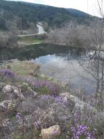 Quinta da Àgua - Chambres d’hôtes Torre de Moncorvo