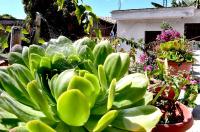 Ojo de Luna Teotitlan - B&B