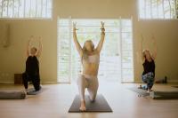 Sonora Jungle & Yoga Retreat - B&B Puerto Viejo