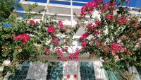 Solar Teixeira FLATS - B&B