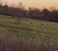 Charming Cottage, Great Rissington, Cotswolds - B&B Great Rissington