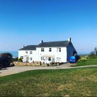 Tyisha - B&B Cardigan