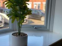 Recently Furnished Stylish 3 Bed House by Town and Beach - B&B Blyth