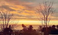 A Due Passi dal Mare B&B - Ferienwohnung