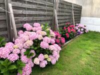 Vannes centre , maison 2 chambres avec jardin,SPA - Ferienwohnung Vannes