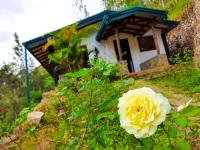 Artist Cottage - Bed and Breakfast Haputale