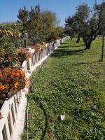 Single Room with Bathroom