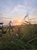 Studio met Uitzicht op Zee