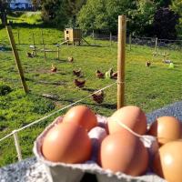 Kerryanna Country House Bed and Breakfast - B&B Mevagissey