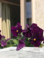 ZEROstuni suite apartment - Ferienwohnung Ostuni