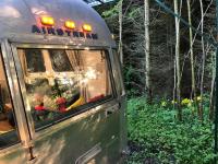 Airstream Woodland Escape - Chambres d’hôtes Galston