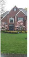Comfortable, spacious, 1bdrm basement apartment, sleeps 4 - B&B