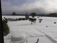 Queen Room with Garden View