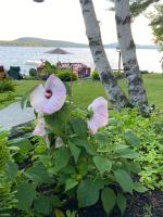 Charming studio in-law on Great East Lake - B&B Acton