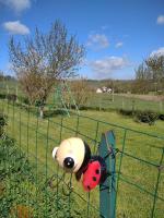 Moulin de la Ville Chamblon en Pleine nature parmi les chevaux proche château thierry - Chambres d'hôtes Montfaucon
