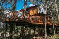 Casa na Árvore Morada dos Vagalumes - Chambres d’hôtes Farroupilha