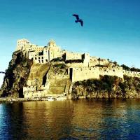 B&B Ischia - Appartamento sul mare ad Ischia Ponte - Bed and Breakfast Ischia