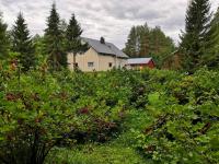 Mukava mummonmökki maaseudun rauhassa - B&B