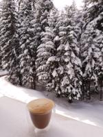 Pinewood ANG luxurious apartment A32 - Chambres d’hôtes Borovets