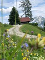 B&B Spital am Pyhrn - Jagdhütte Gammeringalm - Bed and Breakfast Spital am Pyhrn