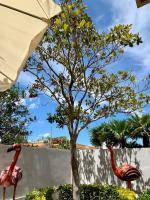 Pantanello blue sea - B&B Avola