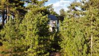 La villa dans les pins - Bed and Breakfast Quend