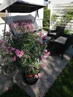 Two-Bedroom Apartment with Balcony