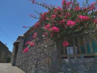 Casa Tía Rosa. - B&B
