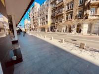 Glamorous Design Apartament in Calea Victoriei - B&B Bucarest