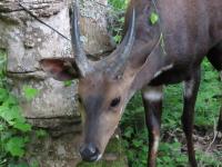 Lake Brenton Paradise - B&B Knysna