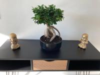 Gîte La Perrière Zen - B&B La Bouëxière