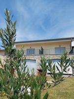 Apartmaji Aucin - Brda - B&B Kojsko