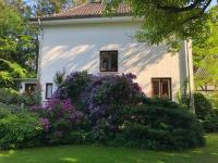 B&B Hodenhagen - Ferienhaus Hudemühlen KEINE MONTEURE - Bed and Breakfast Hodenhagen