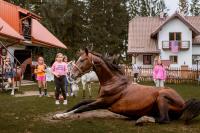 Kurnik Polski agroturystyka - B&B Tykocin
